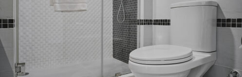 Toilet in a Central Wisconsin bathroom