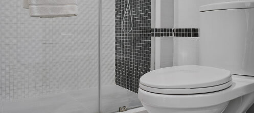 Toilet in a Central Wisconsin bathroom